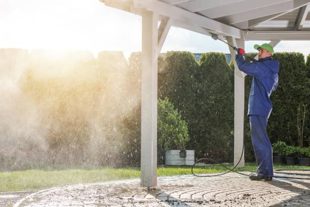 Best Solar Panel Cleaning  in Buchanan Dam, TX